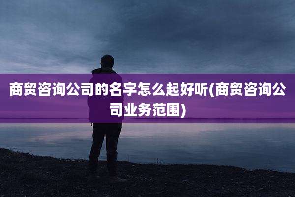 商贸咨询公司的名字怎么起好听(商贸咨询公司业务范围)