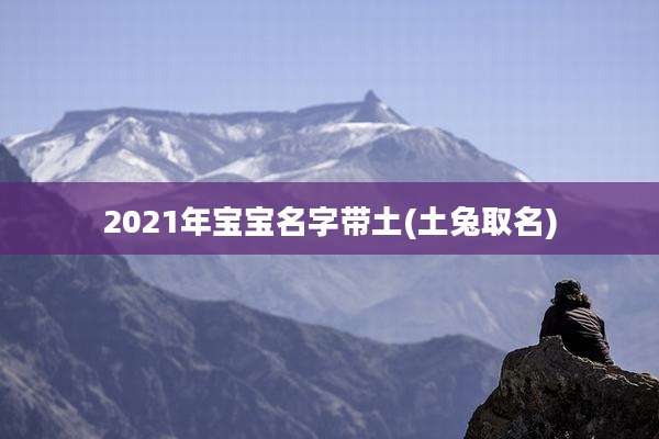 2021年宝宝名字带土(土兔取名)