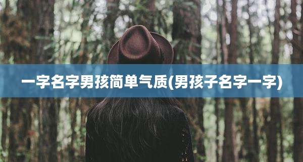 一字名字男孩简单气质(男孩子名字一字)