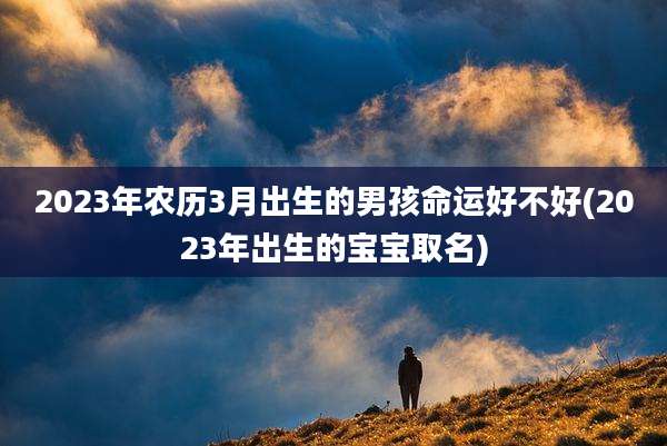 2023年农历3月出生的男孩命运好不好(2023年出生的宝宝取名)