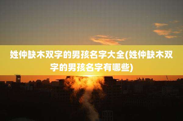 姓仲缺木双字的男孩名字大全(姓仲缺木双字的男孩名字有哪些)