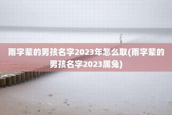 雨字辈的男孩名字2023年怎么取(雨字辈的男孩名字2023属兔)