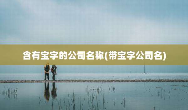 含有宝字的公司名称(带宝字公司名)