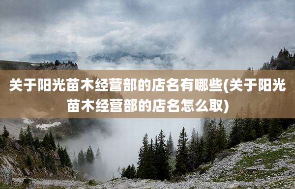 关于阳光苗木经营部的店名有哪些(关于阳光苗木经营部的店名怎么取)