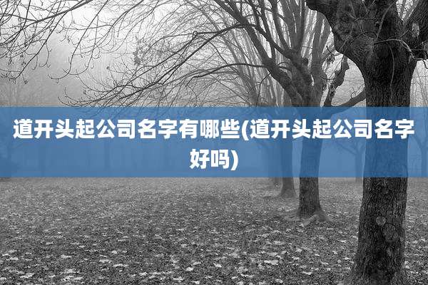 道开头起公司名字有哪些(道开头起公司名字好吗)