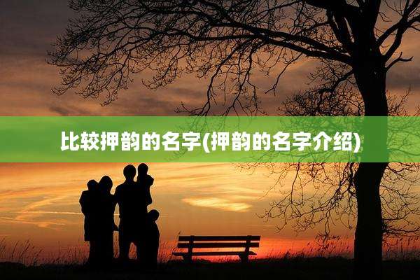 比较押韵的名字(押韵的名字介绍)