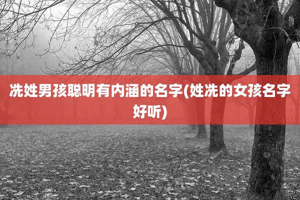 冼姓男孩聪明有内涵的名字(姓冼的女孩名字好听)