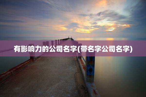有影响力的公司名字(带名字公司名字)