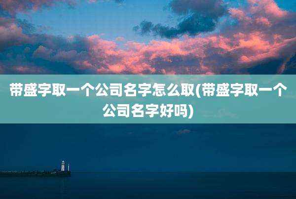 带盛字取一个公司名字怎么取(带盛字取一个公司名字好吗)