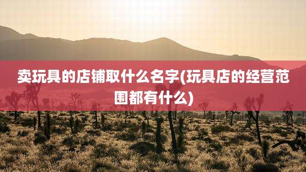 卖玩具的店铺取什么名字(玩具店的经营范围都有什么)