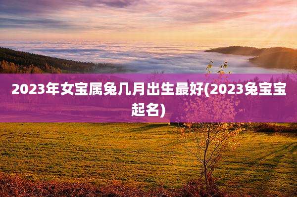2023年女宝属兔几月出生最好(2023兔宝宝起名)