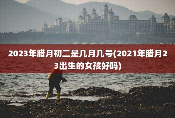2023年腊月初二是几月几号(2021年腊月23出生的女孩好吗)