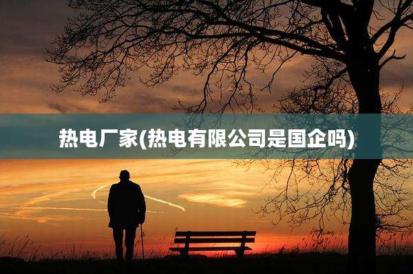 热电厂家(热电有限公司是国企吗)