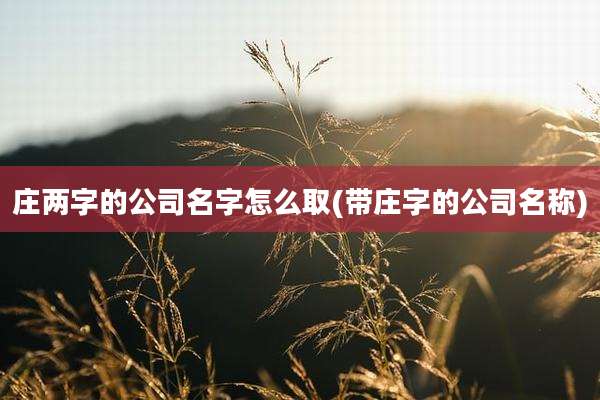 庄两字的公司名字怎么取(带庄字的公司名称)