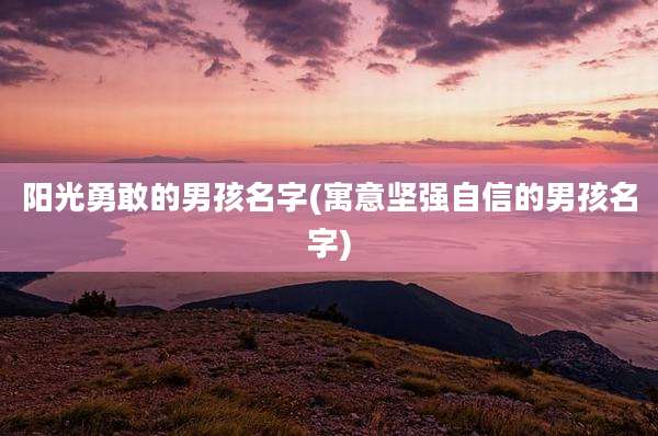 阳光勇敢的男孩名字(寓意坚强自信的男孩名字)