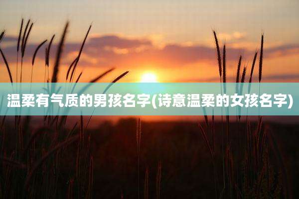 温柔有气质的男孩名字(诗意温柔的女孩名字)