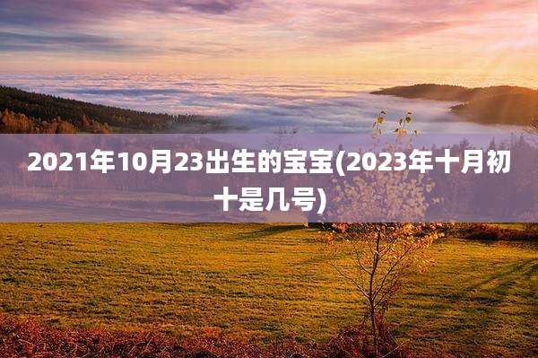 2021年10月23出生的宝宝(2023年十月初十是几号)