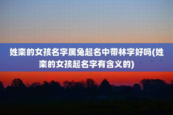 姓栾的女孩名字属兔起名中带林字好吗(姓栾的女孩起名字有含义的)