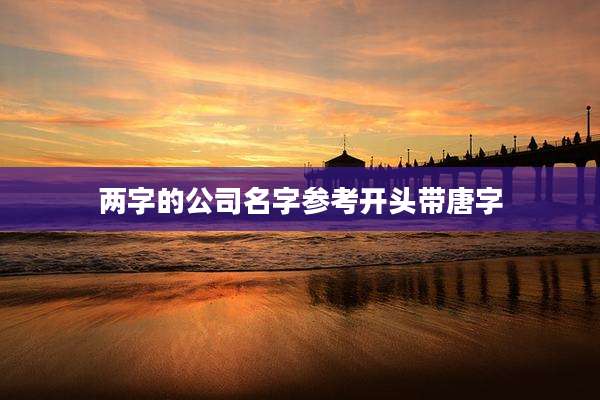 两字的公司名字参考开头带唐字