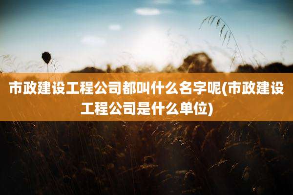 市政建设工程公司都叫什么名字呢(市政建设工程公司是什么单位)