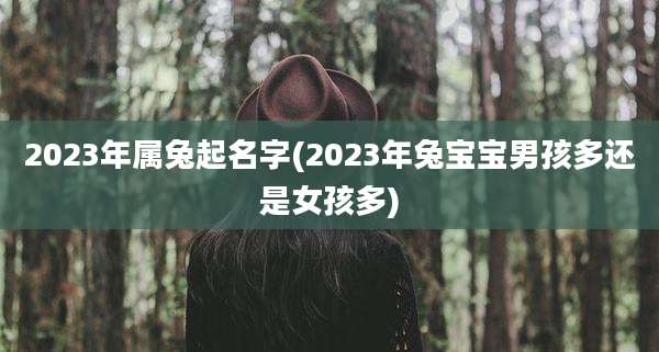 2023年属兔起名字(2023年兔宝宝男孩多还是女孩多)