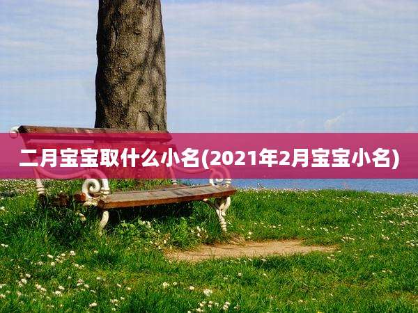 二月宝宝取什么小名(2021年2月宝宝小名)
