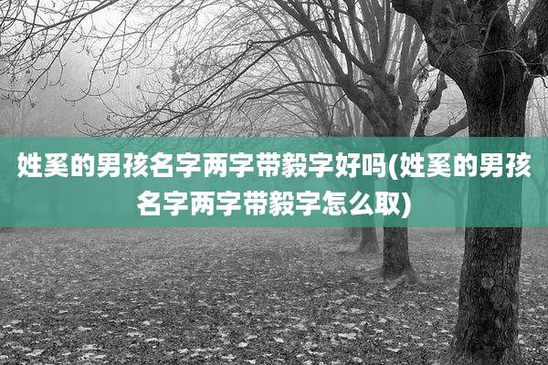 姓奚的男孩名字两字带毅字好吗(姓奚的男孩名字两字带毅字怎么取)