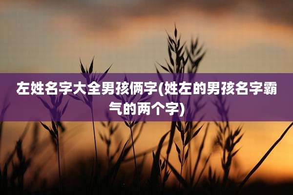 左姓名字大全男孩俩字(姓左的男孩名字霸气的两个字)