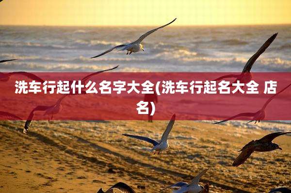 洗车行起什么名字大全(洗车行起名大全 店名)