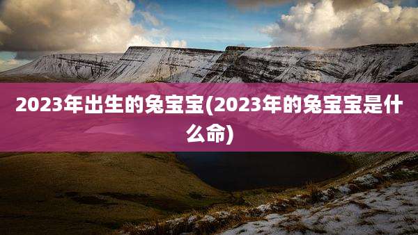 2023年出生的兔宝宝(2023年的兔宝宝是什么命)