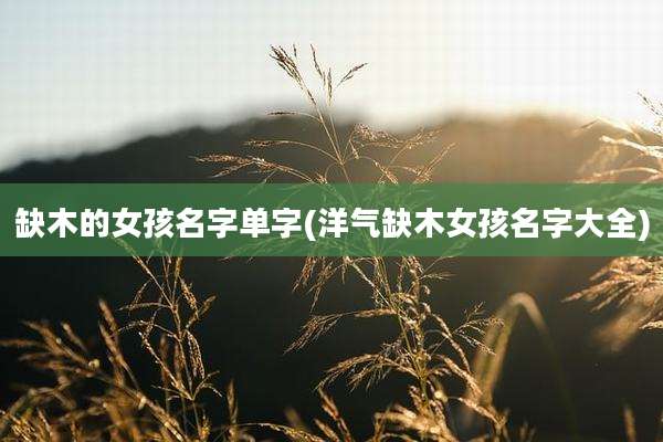 缺木的女孩名字单字(洋气缺木女孩名字大全)