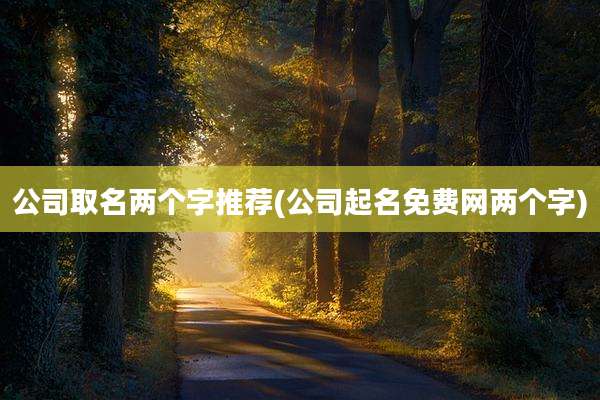 公司取名两个字推荐(公司起名免费网两个字)
