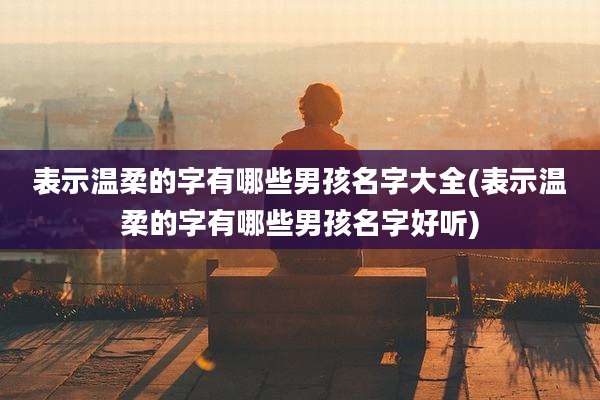 表示温柔的字有哪些男孩名字大全(表示温柔的字有哪些男孩名字好听)