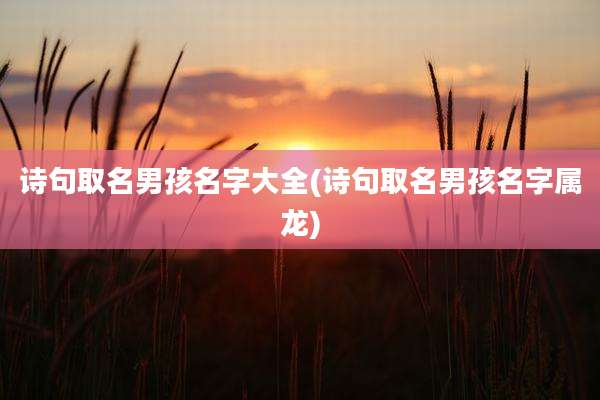 诗句取名男孩名字大全(诗句取名男孩名字属龙)