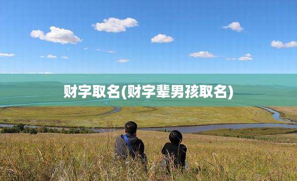 财字取名(财字辈男孩取名)