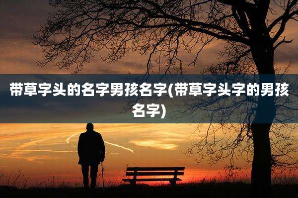带草字头的名字男孩名字(带草字头字的男孩名字)