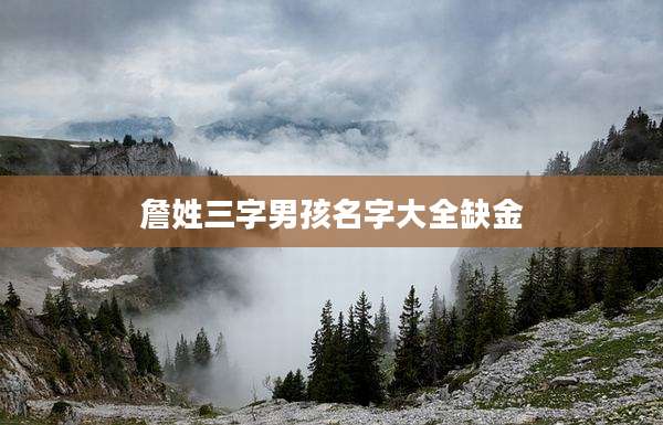 詹姓三字男孩名字大全缺金