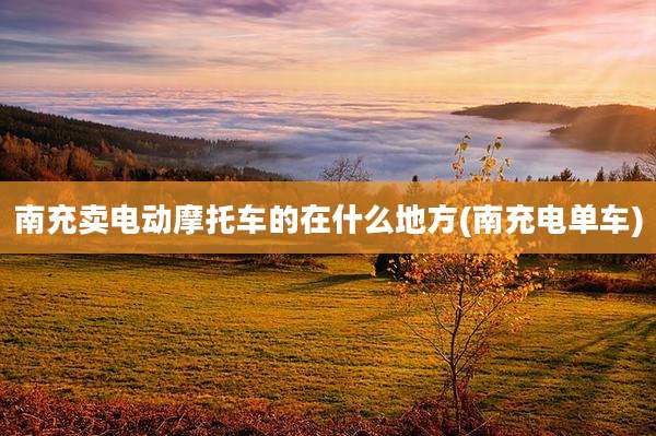 南充卖电动摩托车的在什么地方(南充电单车)