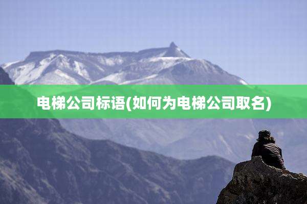 电梯公司标语(如何为电梯公司取名)