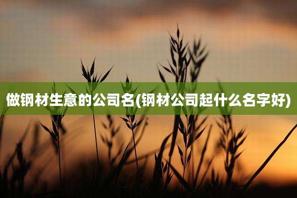 做钢材生意的公司名(钢材公司起什么名字好)