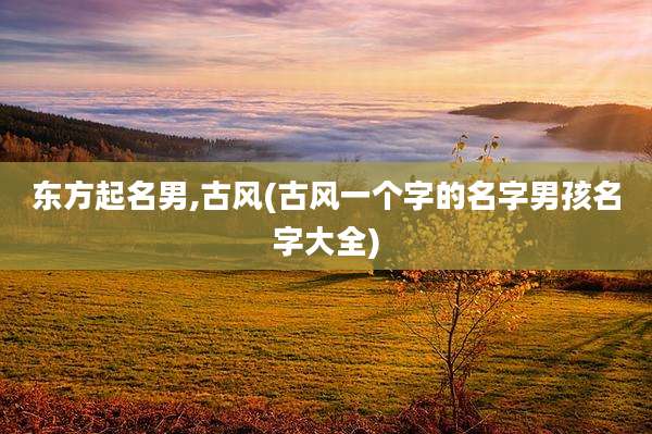 东方起名男,古风(古风一个字的名字男孩名字大全)