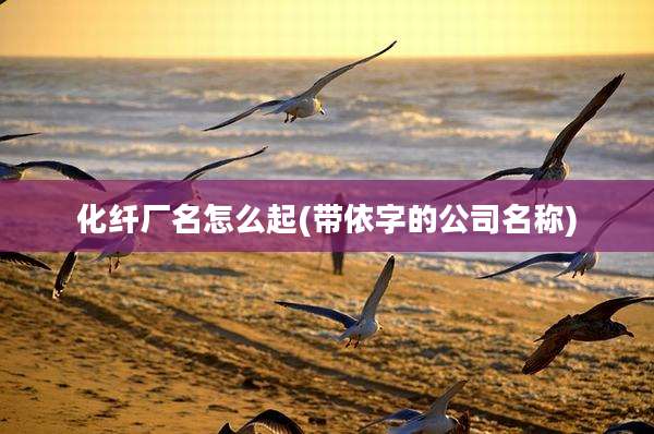 化纤厂名怎么起(带依字的公司名称)