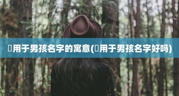 芃用于男孩名字的寓意(莯用于男孩名字好吗)