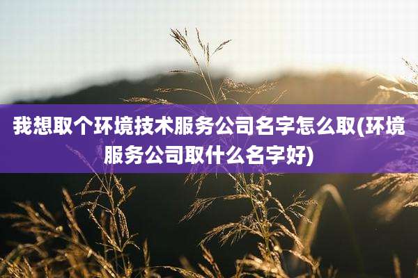 我想取个环境技术服务公司名字怎么取(环境服务公司取什么名字好)