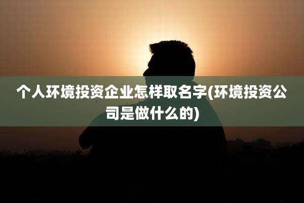 个人环境投资企业怎样取名字(环境投资公司是做什么的)