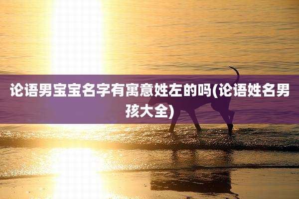 论语男宝宝名字有寓意姓左的吗(论语姓名男孩大全)