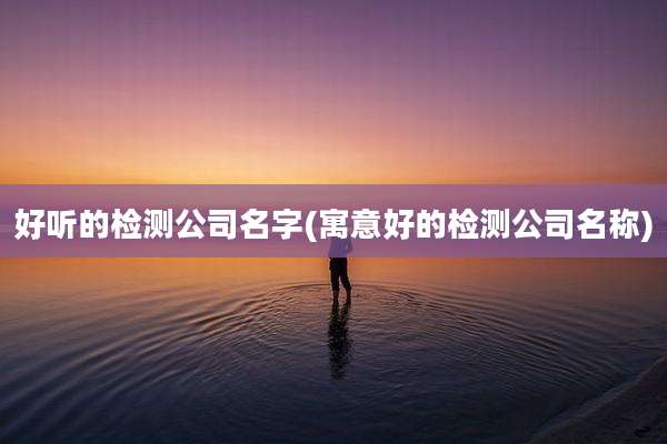 好听的检测公司名字(寓意好的检测公司名称)