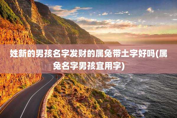 姓新的男孩名字发财的属兔带土字好吗(属兔名字男孩宜用字)