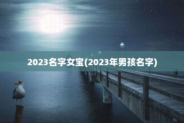 2023名字女宝(2023年男孩名字)