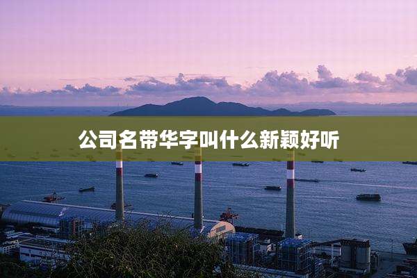 公司名带华字叫什么新颖好听